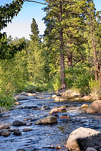 Carson River